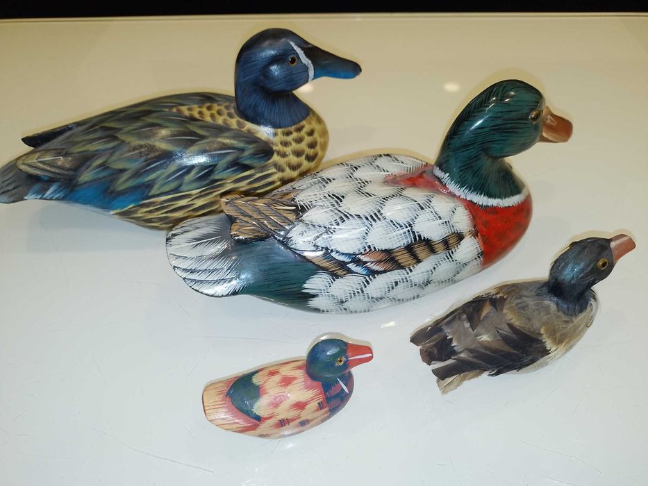 Rate/Pasari Decor Gradina