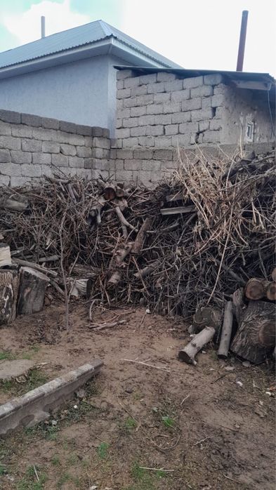 Ағаш отын кесілген