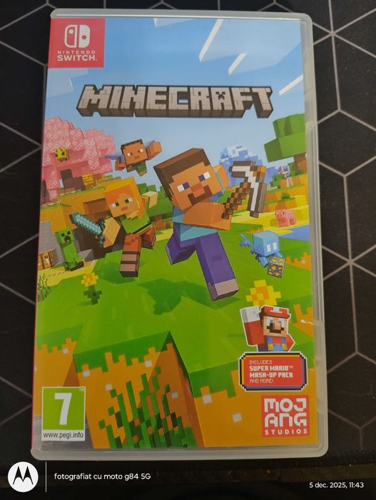 Minecraft Nintendo Switch