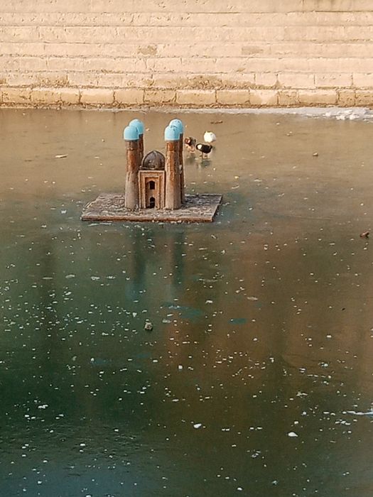 5 соток ховли Эски шахар