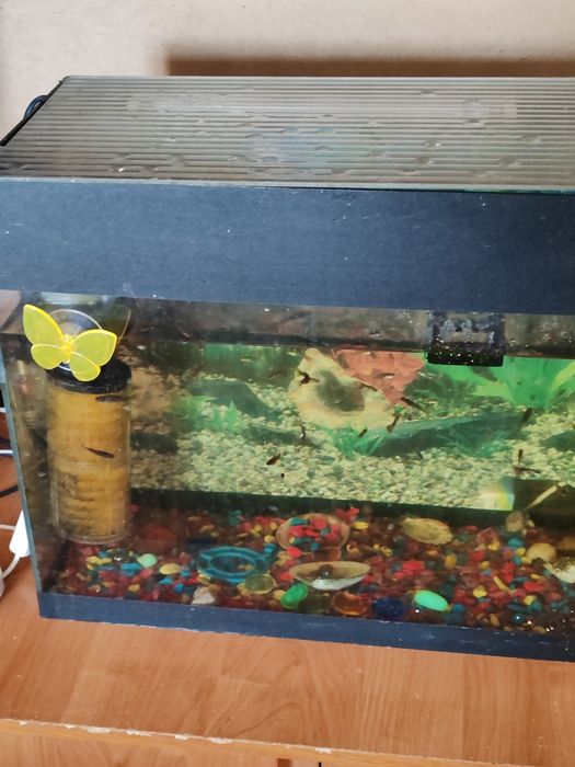 Аквариум на 40 литров