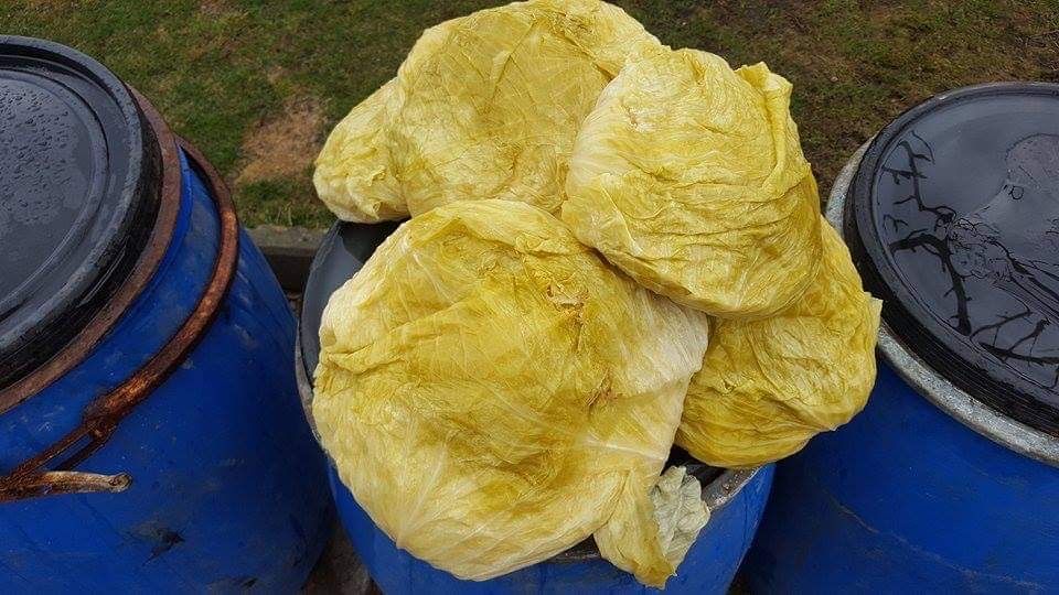 Varză murată(cantități mari)