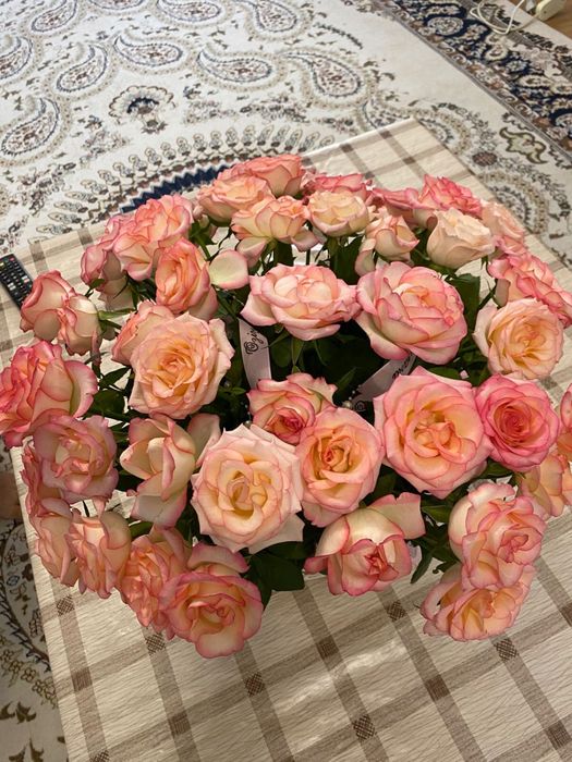 Свежие цветы бағасы 6 мың