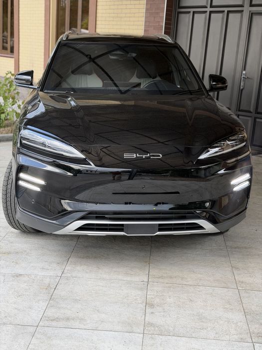 BYD song champion ev