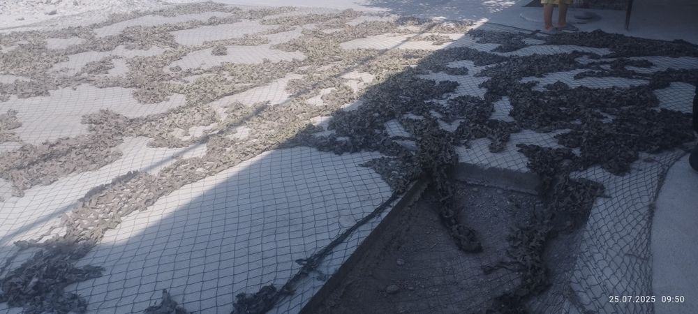 Xarbiy setka. Yaxshi