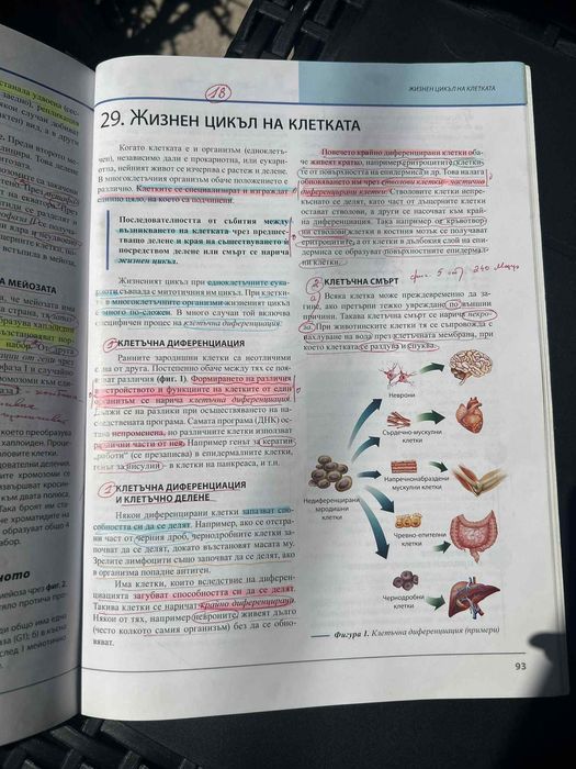 Учебници за КСК (биология)