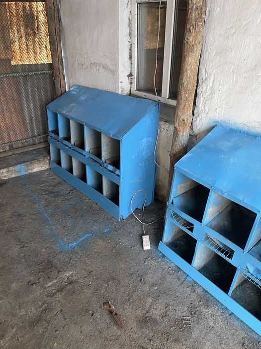 Гнезда для кур ,разные