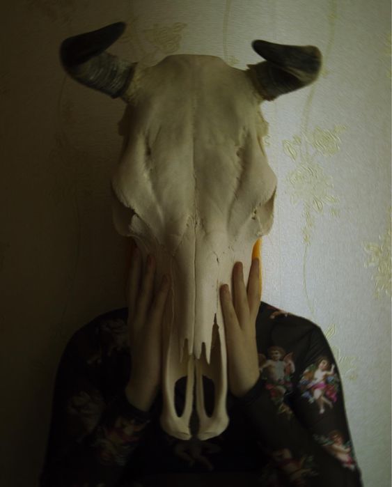 Черепа настоящие