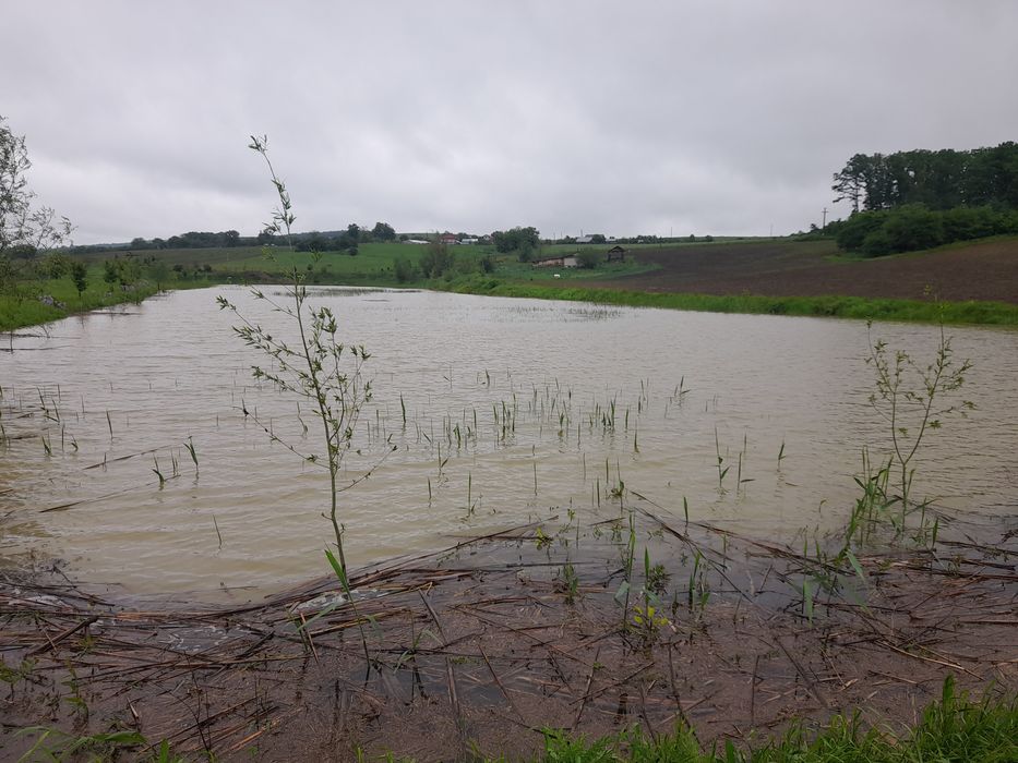vand microferma cu  13 hectare teren