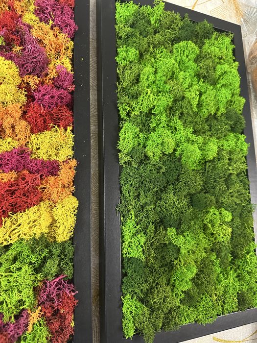 Картини със скандинавски мъх