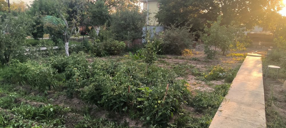 Продаётся дача, Таскала