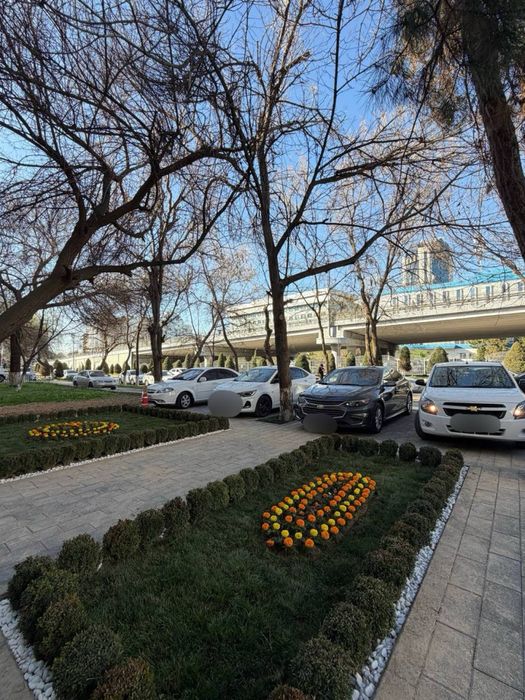 Квартира Ц-6, кафе Issimo Нежилое помещение 120 кв.м