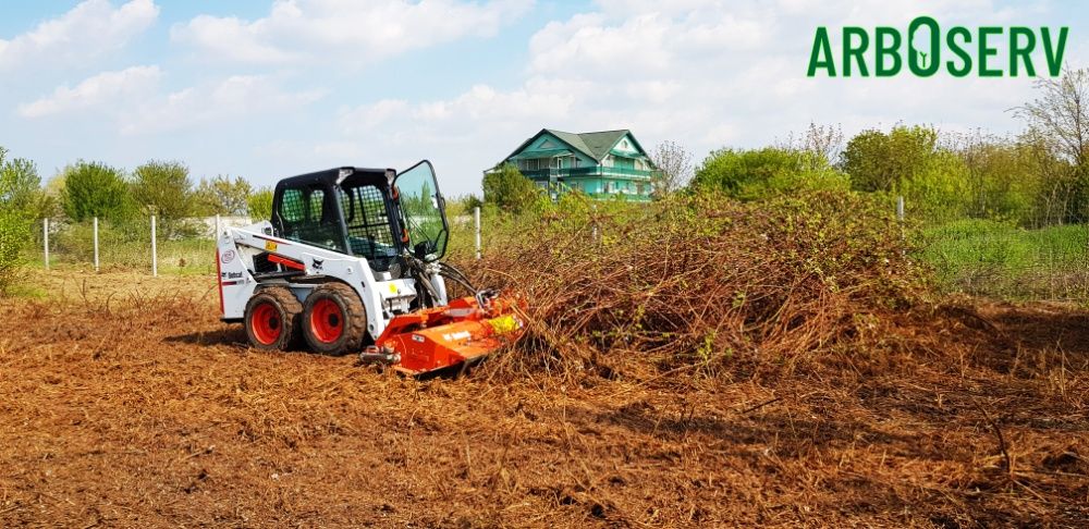 Cosire curatare defrisare teren, iarba arbusti rugi ambrozie maracini