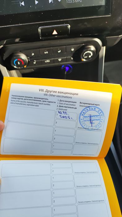 Американская Акито Ину