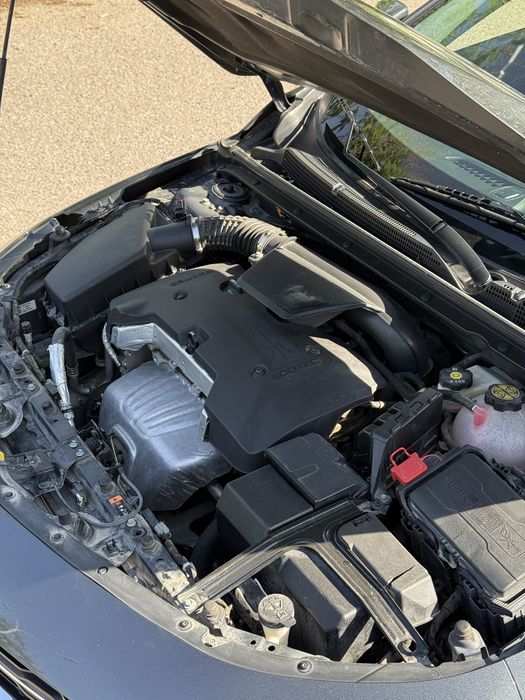 Other Malibu 2018 — 10