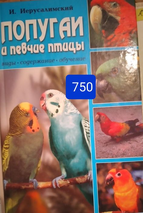 Лошади.Коза.Свиноферма,попугай