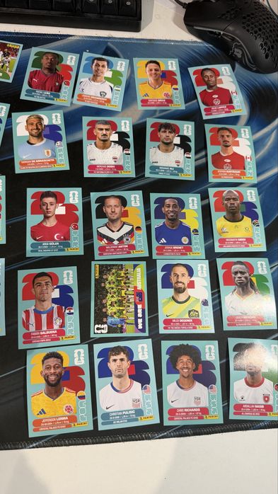 Panini stickers.