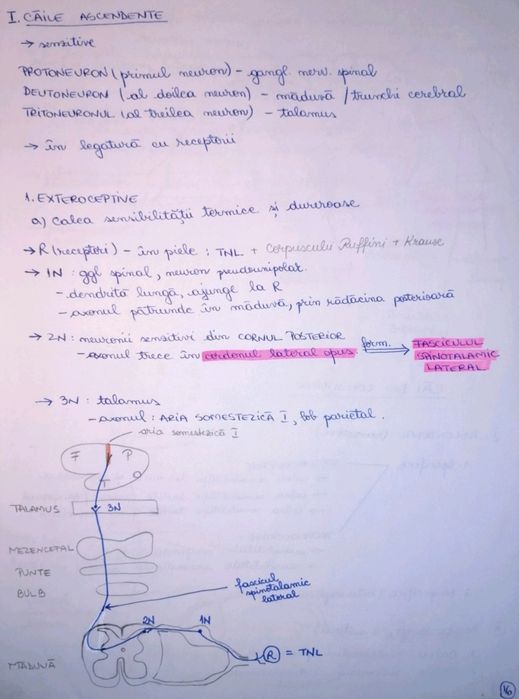 Meditatii admitere medicina - 130 lei (Biologie, Chimie)