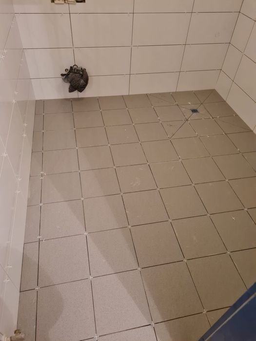 Gresie si Faianță – Renovări Interioare Timișoara