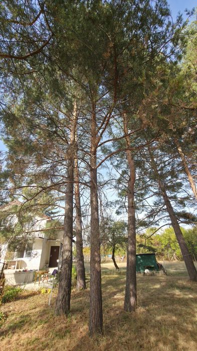 Продава се Къща в с. Негованци, Област Перник - 84 кв.м за 1137 €/кв.м - Снимка #19