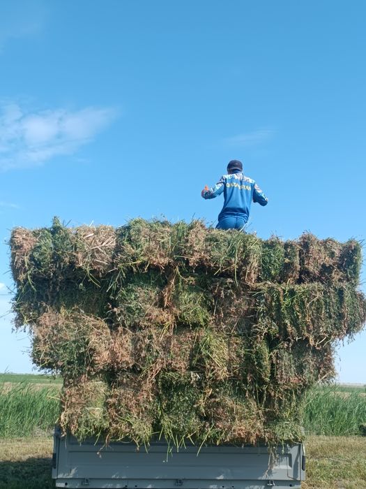 жоңышқа прес бар