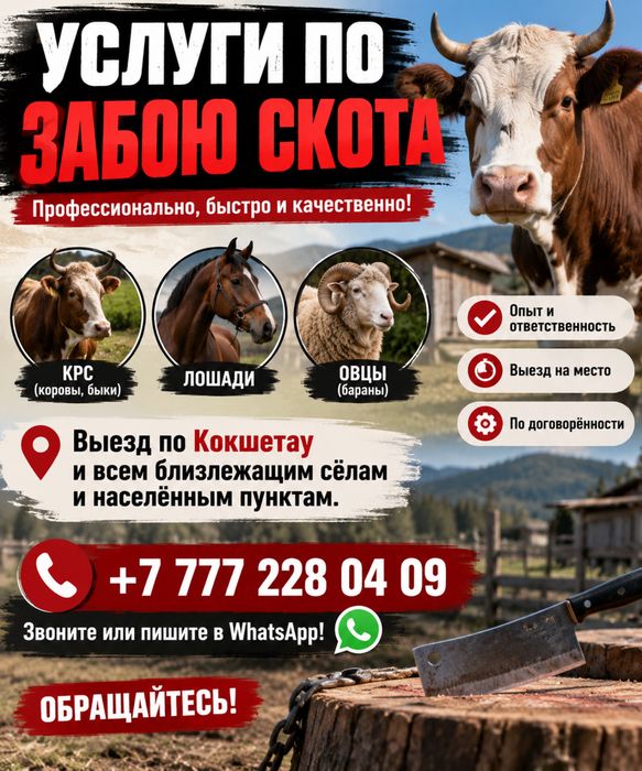 Забиваю скот. Для более подробной информации звоните или пишите.