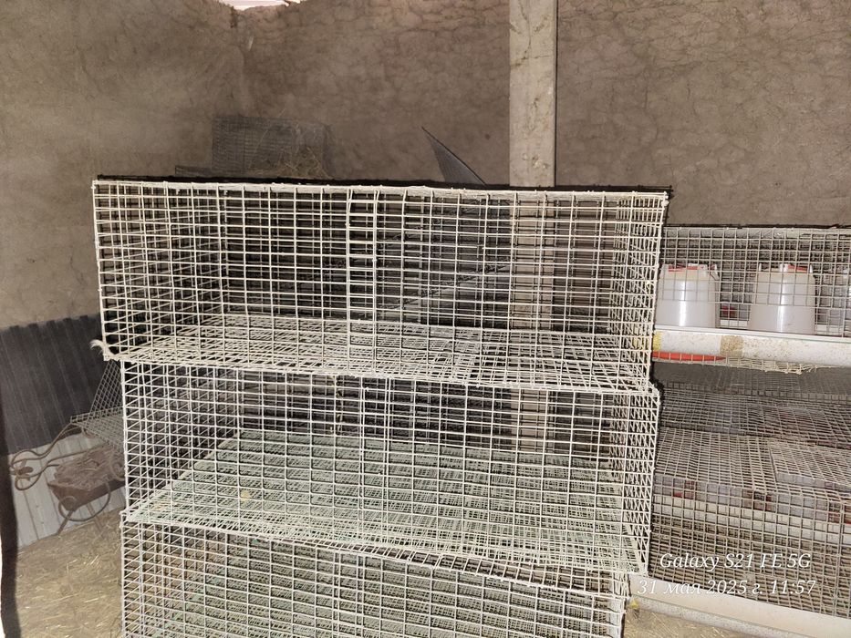 Сетка для Куры Тауыққа арналған Сеткалар