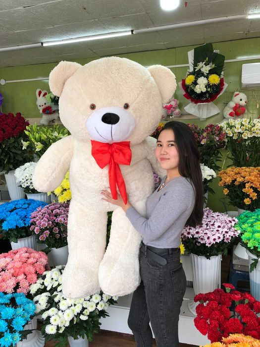 Доставка Мягкие Игрушки Плюшевые Акция Панда Тедди Большие Мишки