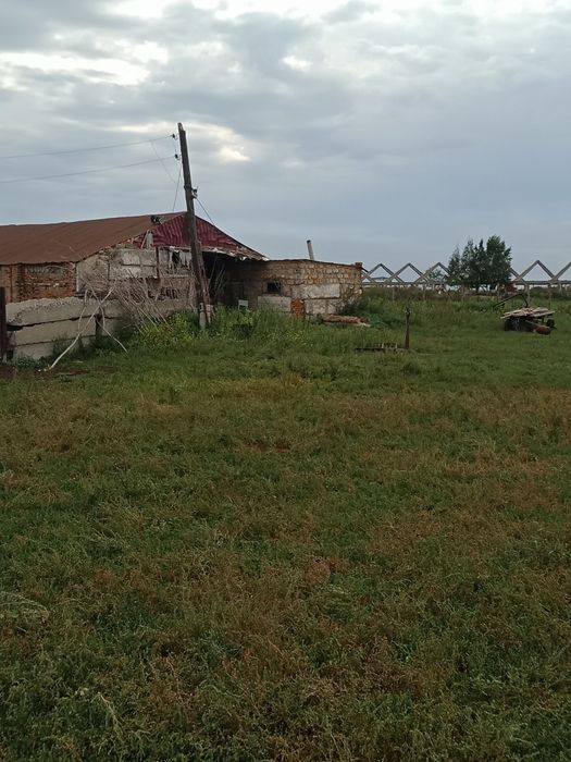 Фермерское хозяйство