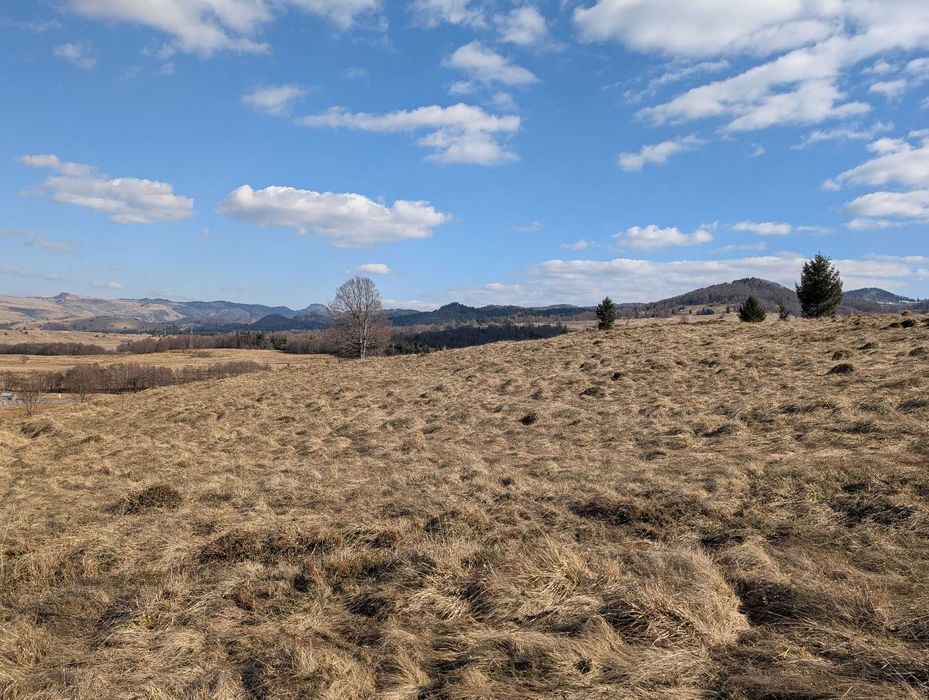 Suprafață mare teren intravilan aproape de pârtia de schi Cavnic - Maramureș