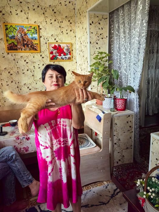 Отдаём котёнка в добрые руки