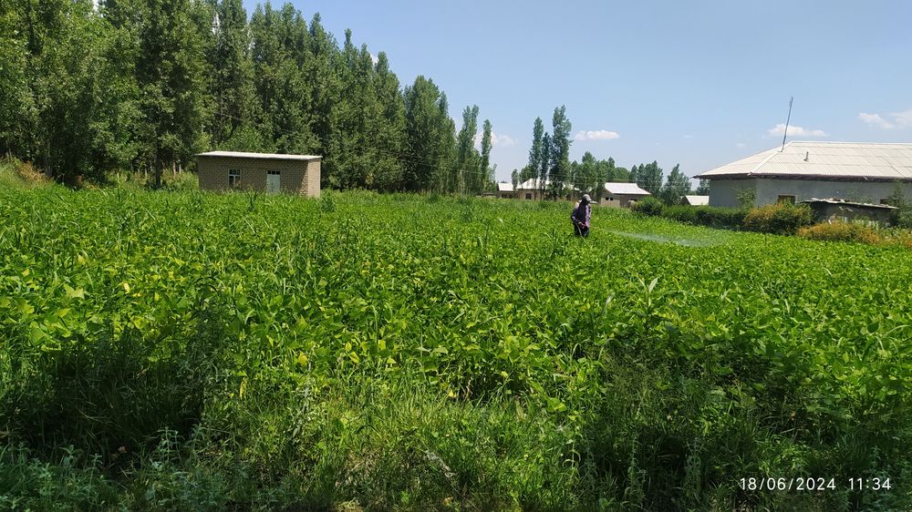 16 sotix yer sotiladi 1 xona uychasi ham bor, yangi maxalla suv, svet