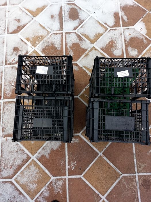 Lădițe plastic noi  2 lei bucata 900 buc