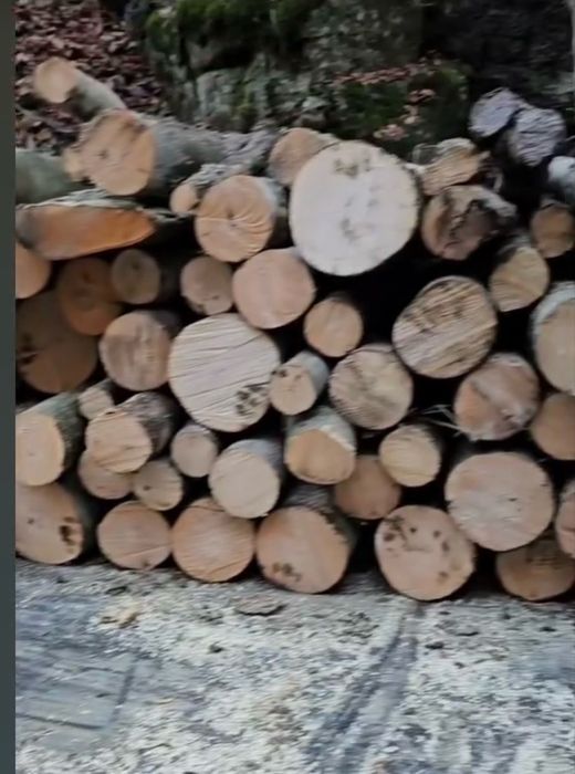 Lemn de foc fag rotund