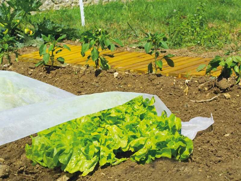 Агрил 17g/m² с размери 6,35 х 250м.