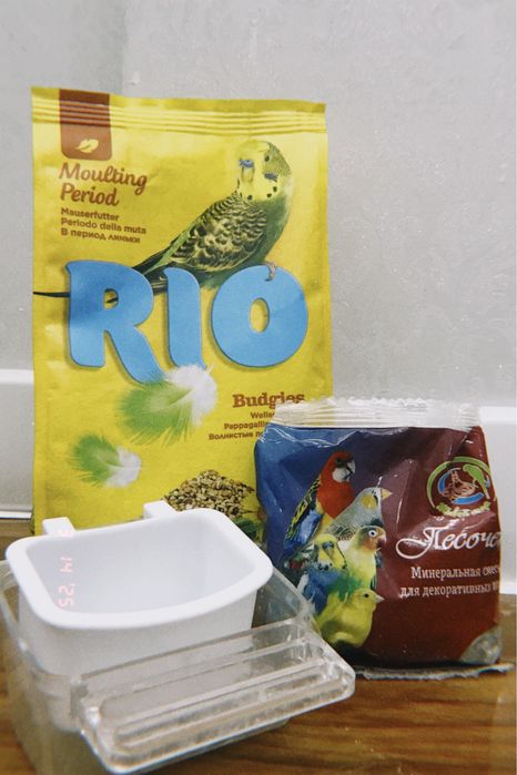 Үйшік және ыдыстары силыққа