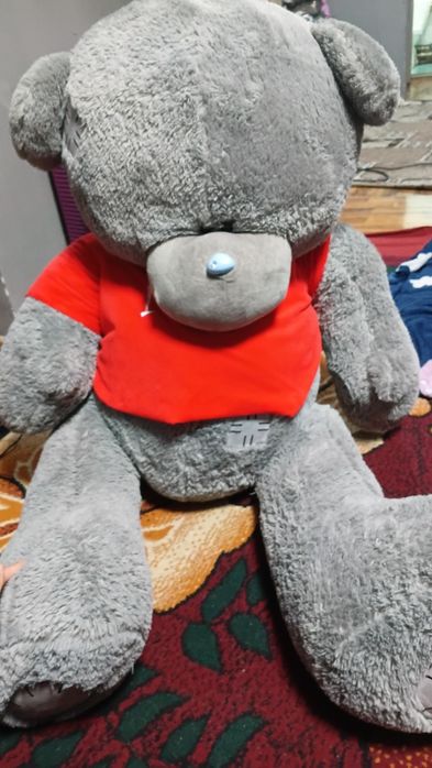 Katta hajmli teddy ayiqcha