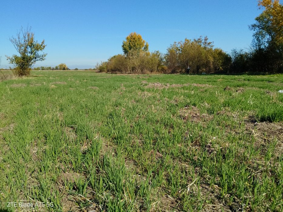 Продава се Земеделски имот в с. Конуш, Област Пловдив -  кв.м за 4080 €/дка - Снимка #5