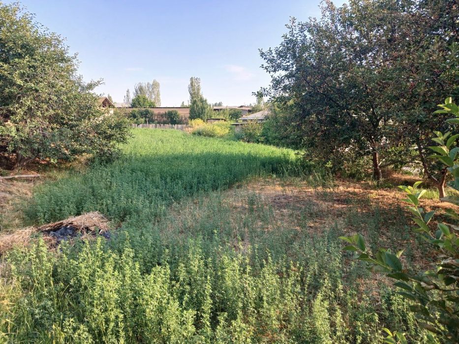 5 sotixlik yer narxi 5.500$ narxi kelishiladi