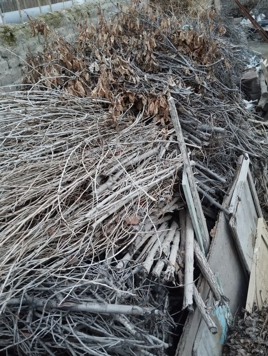 Oʻtin Tandirga yoqqani