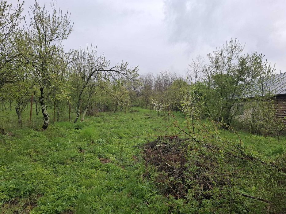 vand teren intravilan 3065 mp f aproape de Valenii de munte