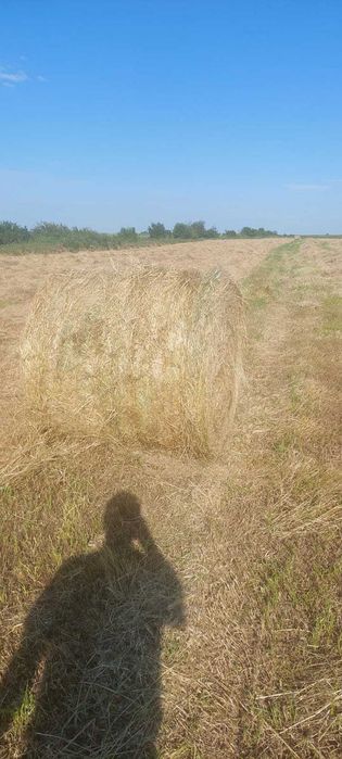 Baloți rotunzi de fân