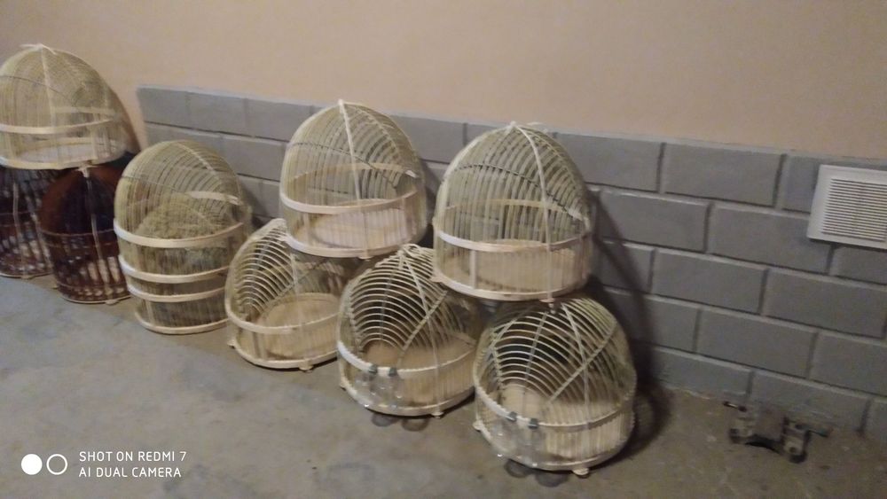 Каклик кафас сотилади