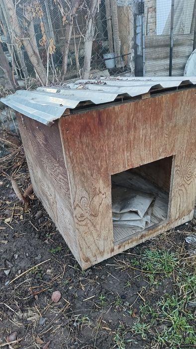 Продам собачью будку