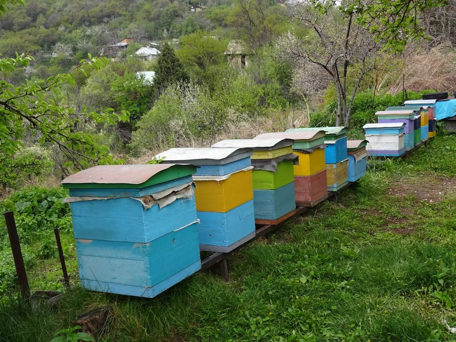 Дачу в горах продам.