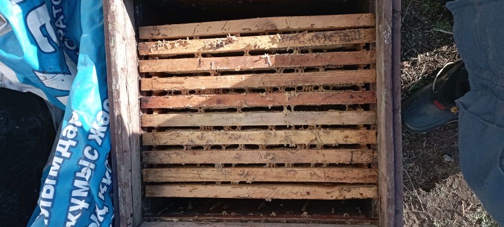 Сушь (рамки для пчел)