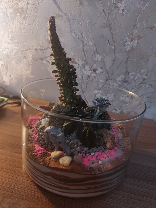 Продам флорариумы. Юго Восток