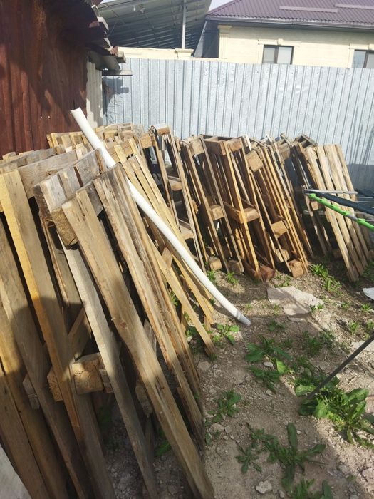 Ағаштар 20 000 тг