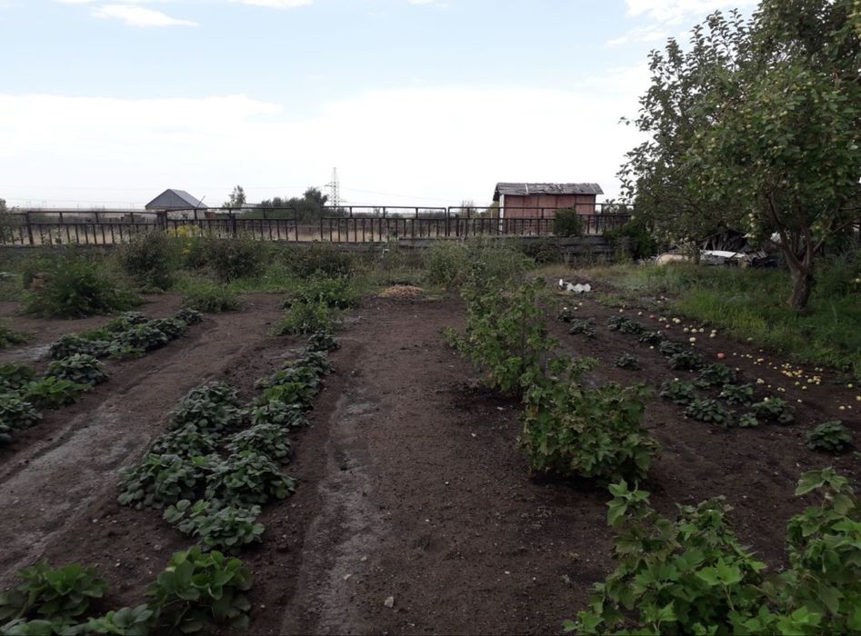 Продам дачу общество Союз