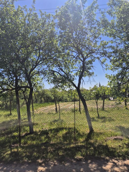 Vând teren intravilan